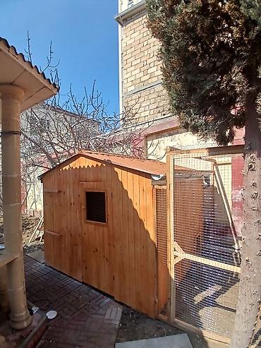 Taxta quşxana / toyuq damı matryal sizden duzeltmey bizden zehmet haki - şəkil 5