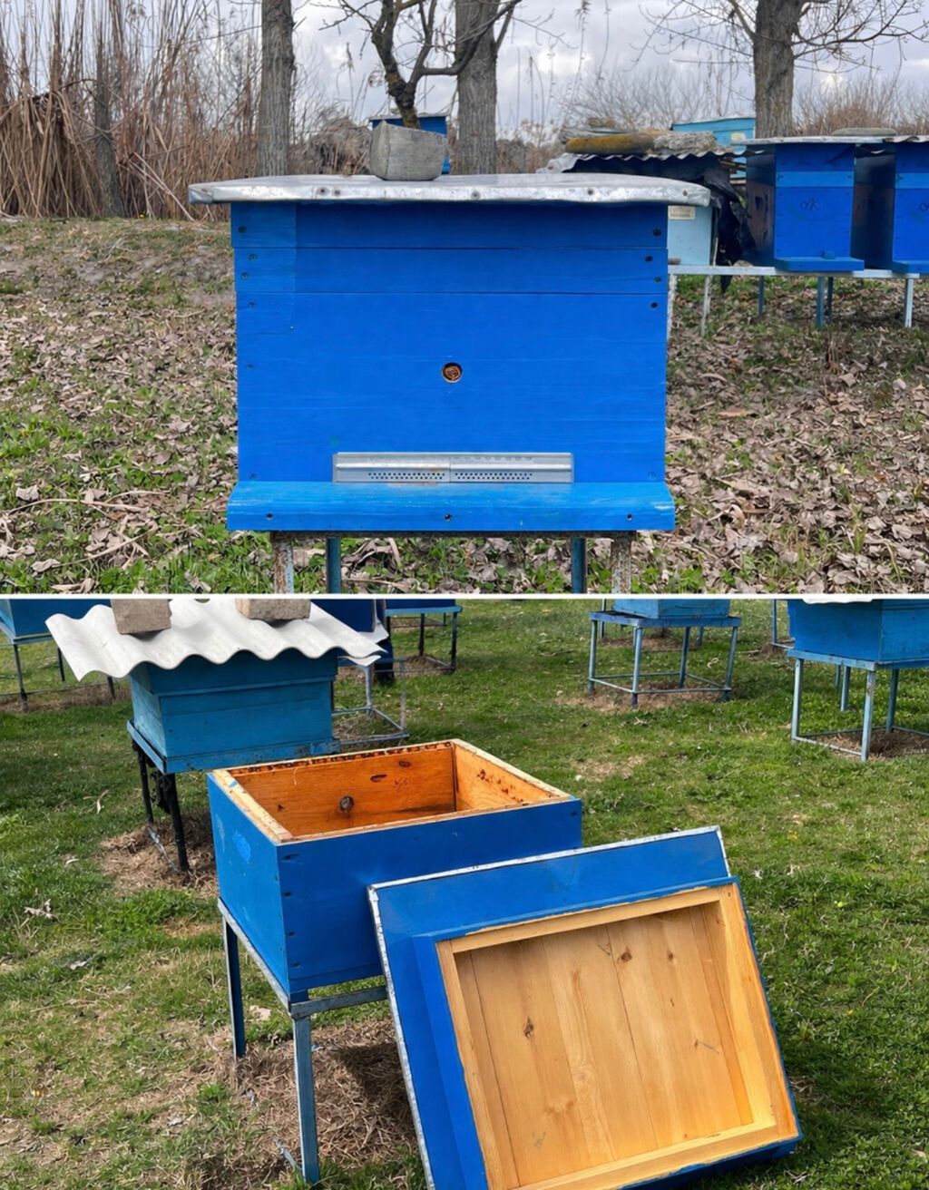 Arıçılıqla məşqul olanlar üçün əlverişli yeşiylər di standart 12 ramka