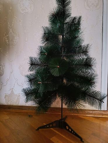 Gözəl Keyfiyyətli Yarpaqları çıxmayan çox möhkəm yolka hündürlükdə - şəkil 2