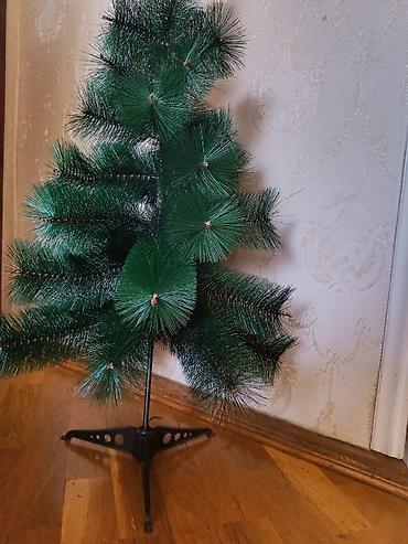 Gözəl Keyfiyyətli Yarpaqları çıxmayan çox möhkəm yolka hündürlükdə - şəkil 3