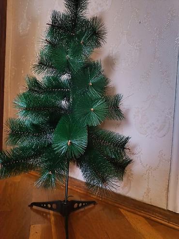 Gözəl Keyfiyyətli Yarpaqları çıxmayan çox möhkəm yolka hündürlükdə - şəkil 4