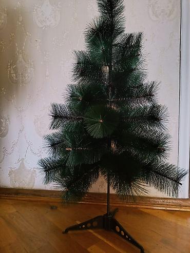 Gözəl Keyfiyyətli Yarpaqları çıxmayan çox möhkəm yolka hündürlükdə - şəkil 5