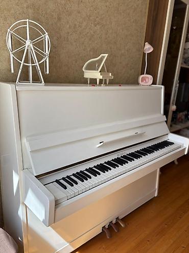 Piano, Belarus, Akustik, İşlənmiş, Ünvandan götürmə - şəkil 2