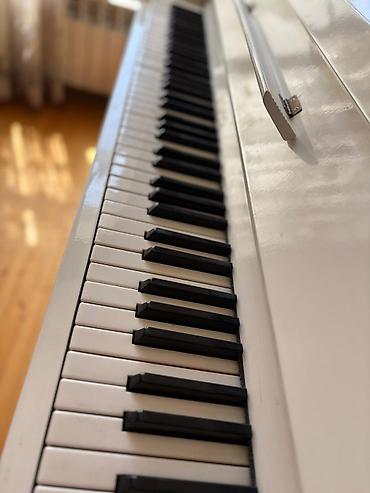 Piano, Belarus, Akustik, İşlənmiş, Ünvandan götürmə - şəkil 3