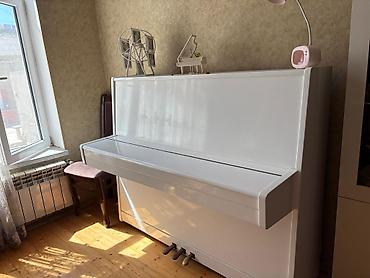 Piano, Belarus, Akustik, İşlənmiş, Ünvandan götürmə - şəkil 4