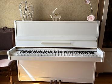 Piano, Belarus, Akustik, İşlənmiş, Ünvandan götürmə - şəkil 5