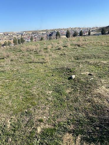 4 sot, Tikinti, Mülkiyyətçi, Kupça (Çıxarış) - şəkil 5