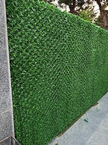 Qazon Setka(yaşıl hasar) Evinizin və ya obyektinizin həm təhlükəsiz - şəkil 4