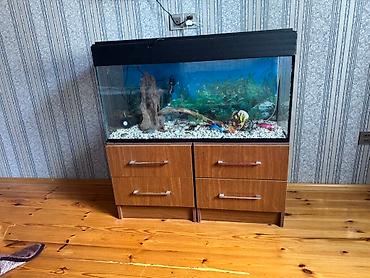 Dördbucaq akvarium, Boş, 150 l, Ünvandan götürmə - şəkil 2