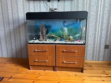 Dördbucaq akvarium, Boş, 150 l, Ünvandan götürmə - şəkil 3