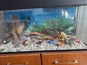 Dördbucaq akvarium, Boş, 150 l, Ünvandan götürmə - şəkil 4