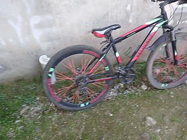 Velocruz dağ velosipedi - Marka/model: VELOCRUZ - Çərçivə: yüngül - şəkil 5