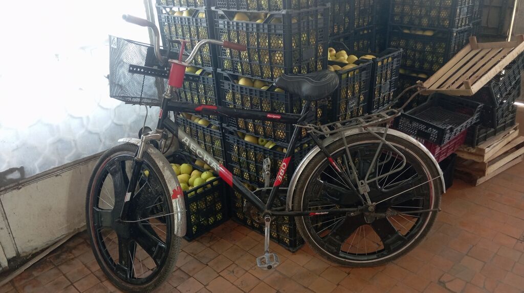 Şəhər velosipedi Desna, 26", sürətlərin sayı: 1