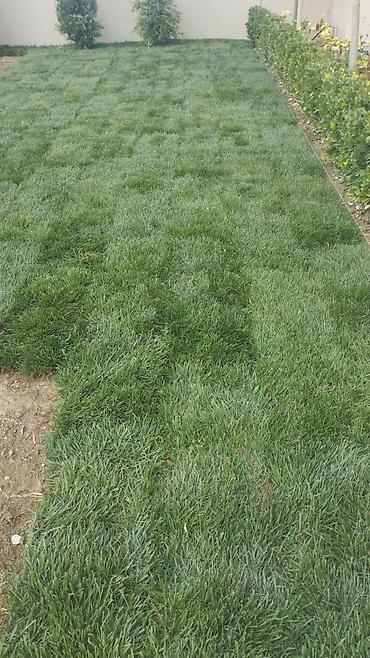 Qazon catdirilma ve quraşdirilma 7/24 sifarişle Azerbaycanin isdenilen - şəkil 4