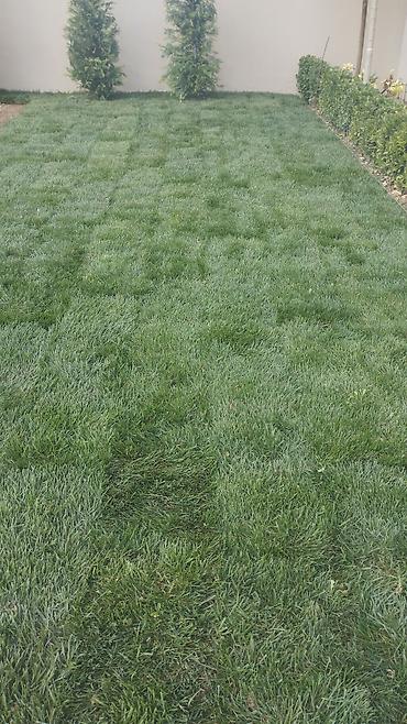 Qazon catdirilma ve quraşdirilma 7/24 sifarişle Azerbaycanin isdenilen - şəkil 5