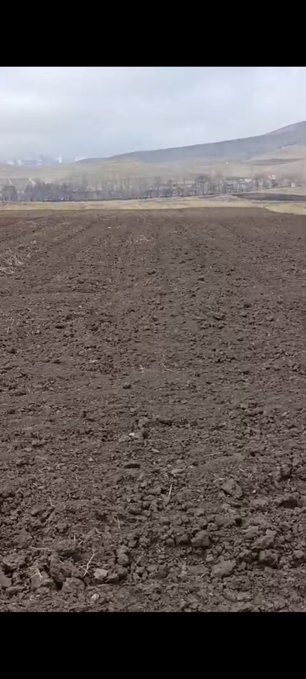 42 sot, Kənd təsərrüfatı, Kupça (Çıxarış)