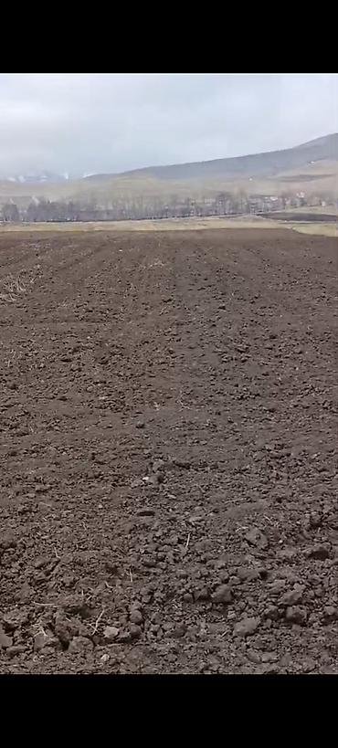 42 sot, Kənd təsərrüfatı, Kupça (Çıxarış) - şəkil 2