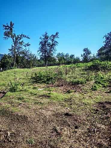 Qusar Xuray kəndində 4.5 sot torpaq satılır qiymet sotu 6500 - şəkil 3