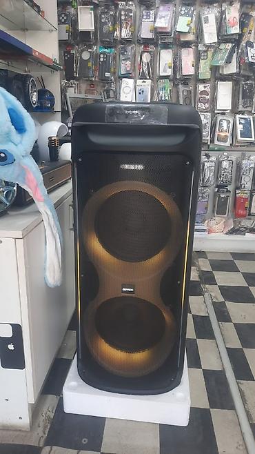 Gənwoo GD-2102 portativ akustik sistem - Güc: 100W - Giriş - şəkil 3