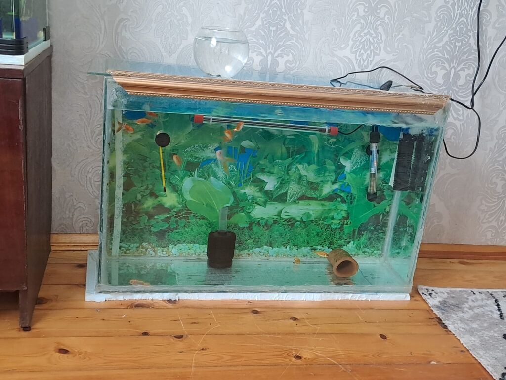 Dördbucaq akvarium, Boş, 100 l, Ödənişli çatdırılma