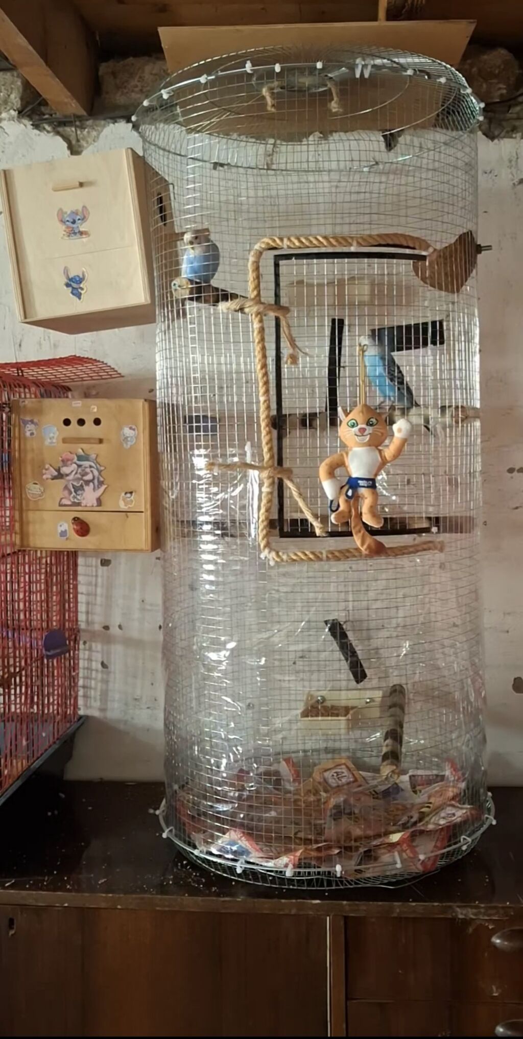 QƏFƏS SATILIR.BOYU 1-METRƏ YAXINDI ƏL İŞİDİR İÇİNDƏ YEM QABLARI VAR ƏL