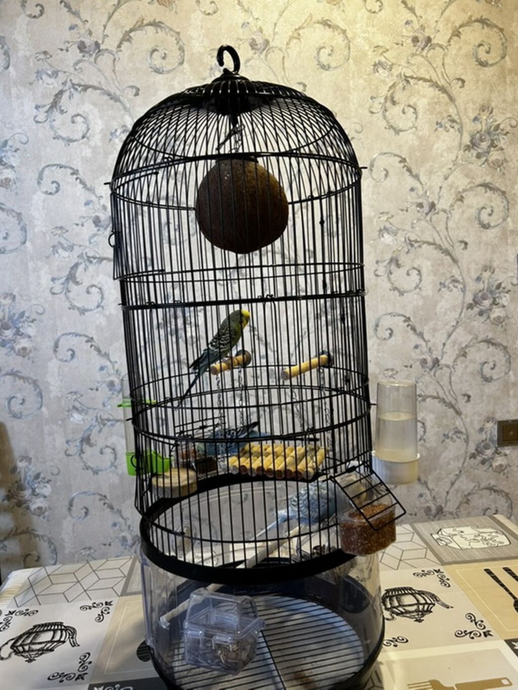 2yumru oyuncaq taxdasi 1kalcuk uzun ayaq altisi 1yeke yellencek 2yem