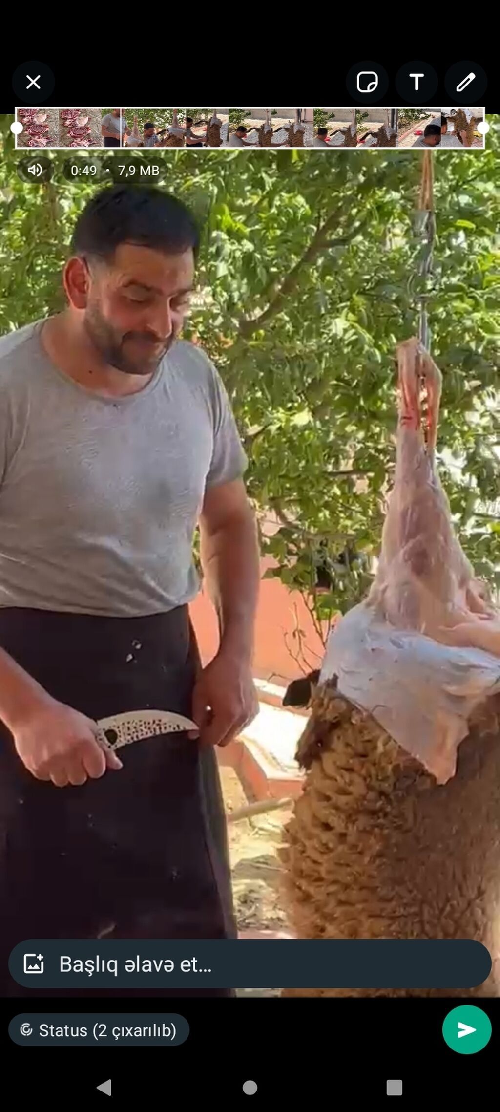 Kababçıyam+ həmdə Qəssab. Quzu kəsimi Və Kababı Bişirmək. Bağlara