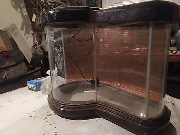 Akvaryum qizqalasi təsviri kimidir çox gözəldir el işidir aşağı yeri - şəkil 2