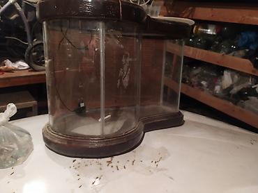 Akvaryum qizqalasi təsviri kimidir çox gözəldir el işidir aşağı yeri - şəkil 4