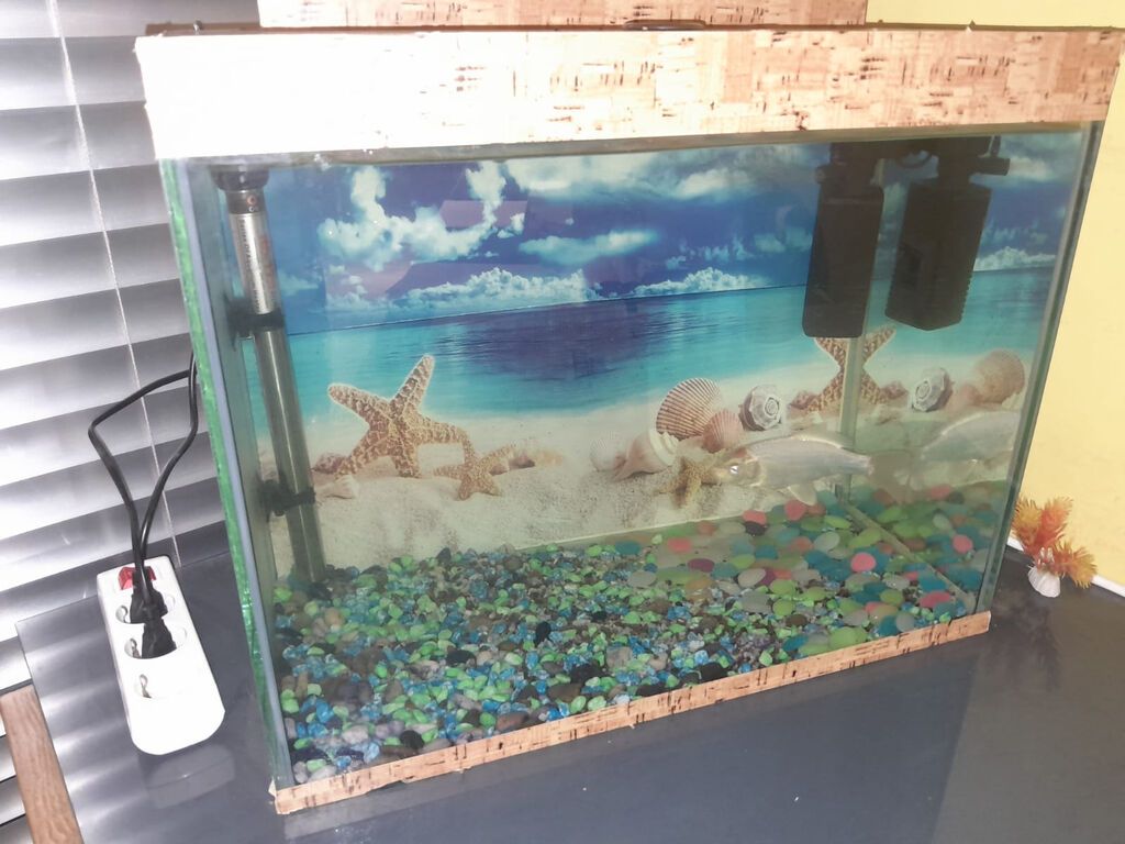 Akvarium qəşəng vəziyyətdədir. uzunluğu 50 hündürlüyü 40 eni30 sm