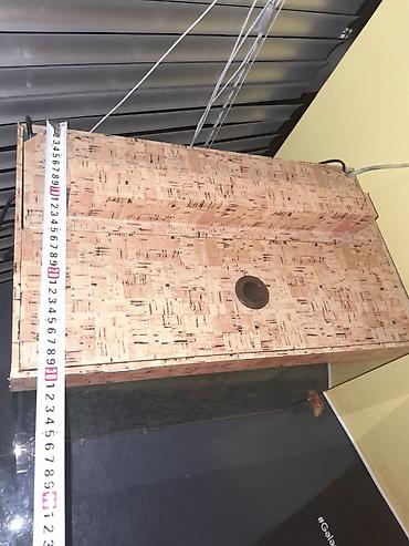 Akvarium qəşəng vəziyyətdədir. uzunluğu 50 hündürlüyü 40 eni30 sm - şəkil 3