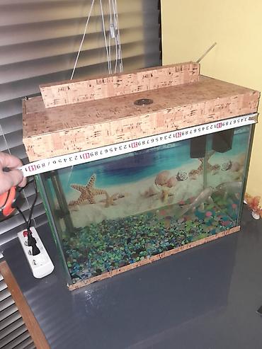 Akvarium qəşəng vəziyyətdədir. uzunluğu 50 hündürlüyü 40 eni30 sm - şəkil 5