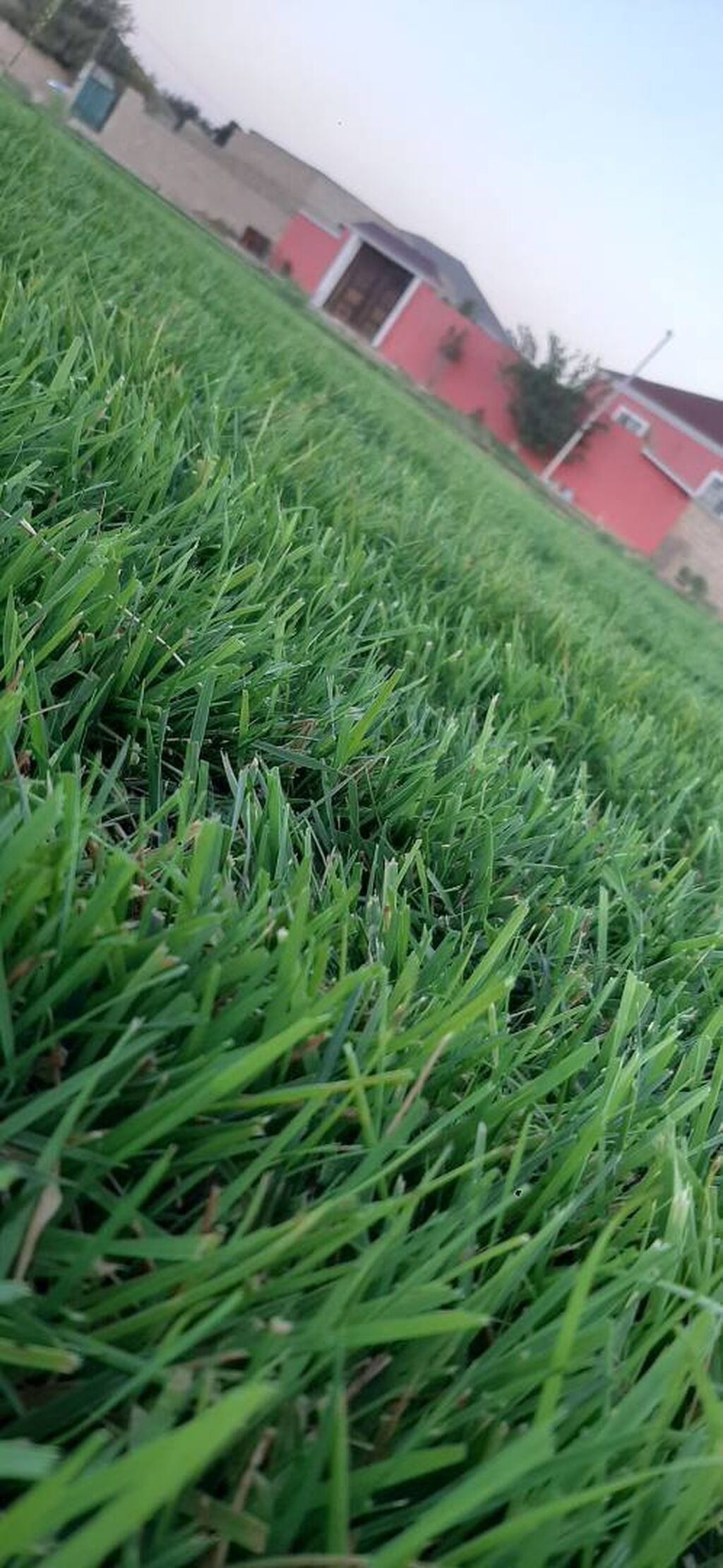 Salam qazon sifarisi catdirilma ve yere serilmesi unvana ve kvadrata