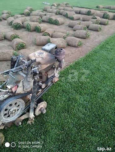 Salam qazon sifarisi catdirilma ve yere serilmesi unvana ve kvadrata - şəkil 2