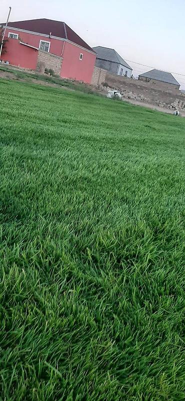 Salam qazon sifarisi catdirilma ve yere serilmesi unvana ve kvadrata - şəkil 4