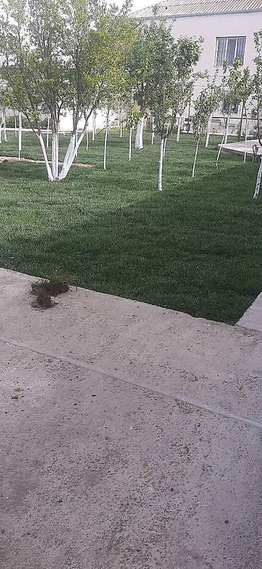 Salam qazon sifarisi catdirilma ve yere serilmesi unvana ve kvadrata - şəkil 5