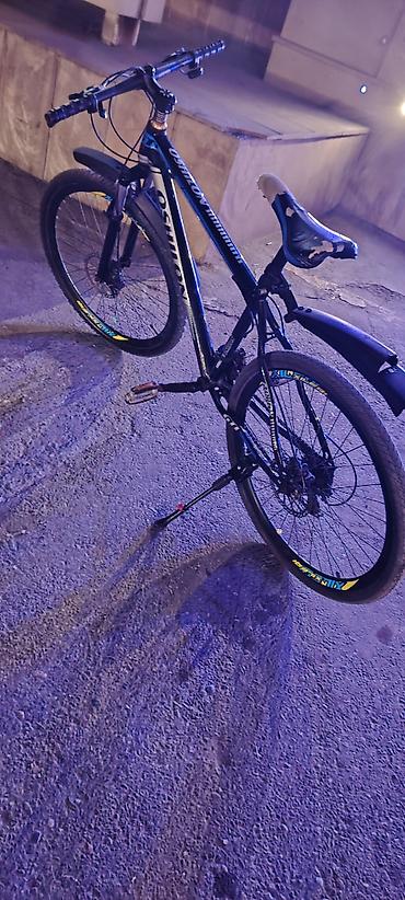 26lıq az işlənmiş skoruslu velosiped. Heçbir problemi yoxdu idiyal - şəkil 3