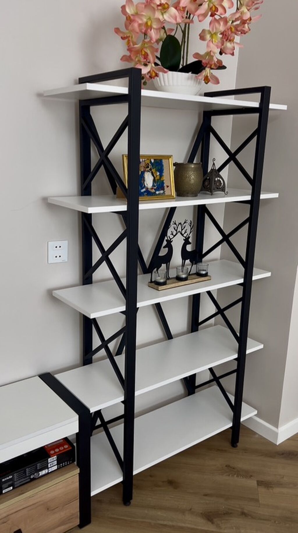 Yeni, Kitab rəfi, Düz, Rusiya