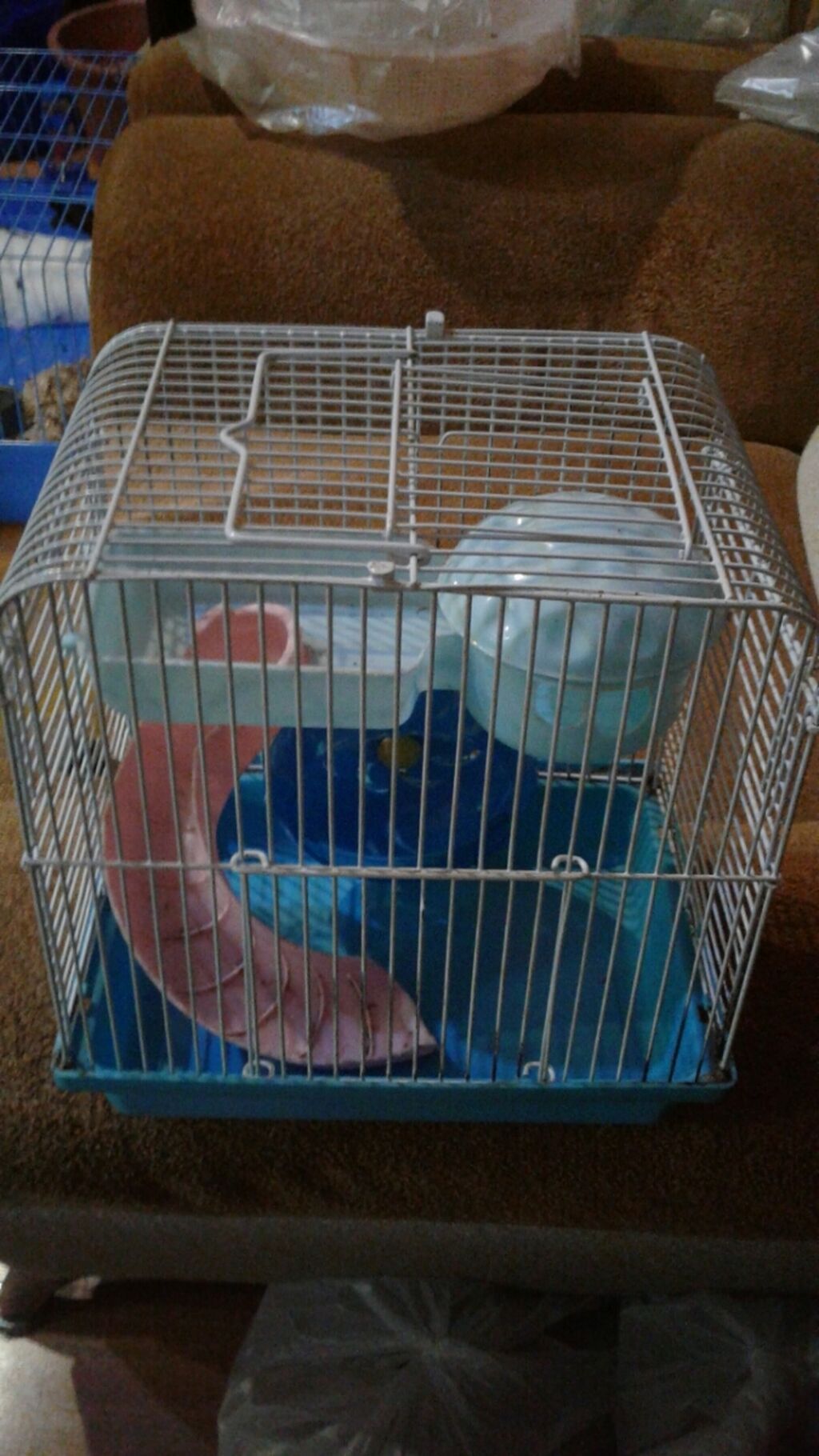 Shekilleri cevirin Xamyak ucun qefes satilir qiymeti 25 azn svinka