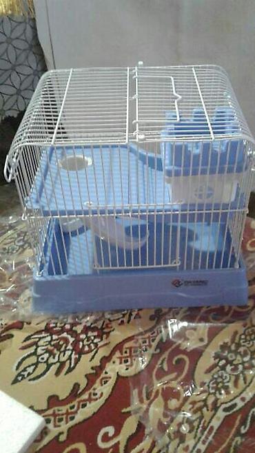 Shekilleri cevirin Xamyak ucun qefes satilir qiymeti 25 azn svinka - şəkil 4