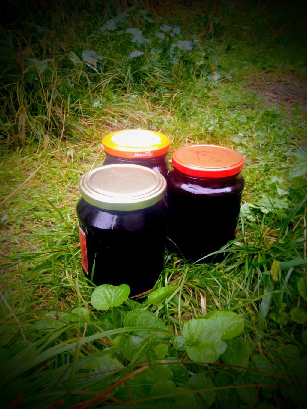 🏞️ Şəkidə ev şəraitində hazırlanıb. Ağ tutun bəhməzidir. Təbii