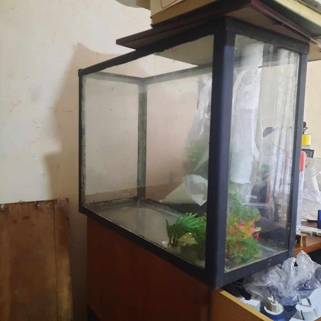 Akvarium – şüşə korpus, metal/plastik çərçivə - Ölçü: orta ölçülü