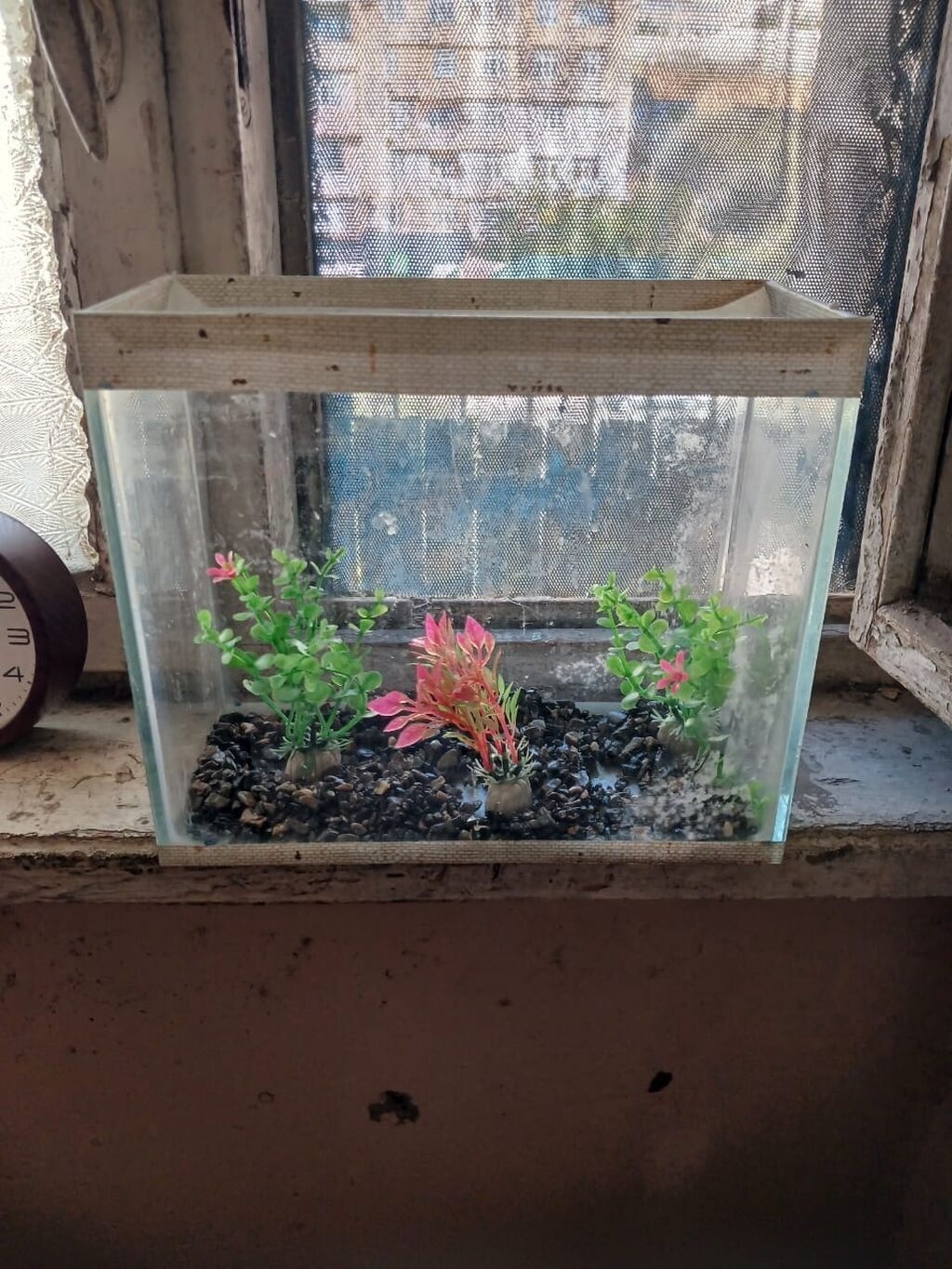 Akvarium Balaca.olculeri 27 12 23normal veziyetde