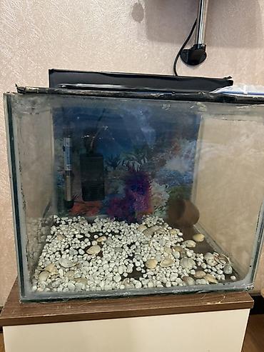 Dördbucaq akvarium, Boş, 42 l - şəkil 2