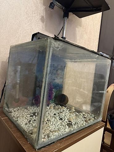 Dördbucaq akvarium, Boş, 42 l - şəkil 4