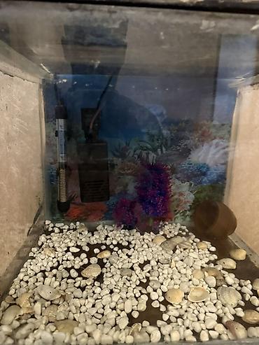 Dördbucaq akvarium, Boş, 42 l - şəkil 5