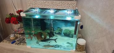 Akvaryum komplekti - Şüşə akvaryum: düzbucaqlı forma, qalın şüşə - şəkil 2