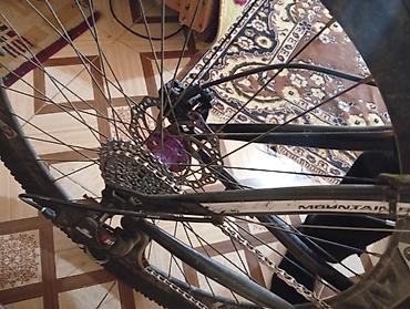 Velosiped satılır hassns pro 7 hamilton vnıs mor rol 780mn arxa m30 - şəkil 4