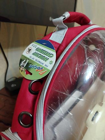 Pişik Ücun çanta - Dizayn: Şəffaf ön panel və sevimli ayıcık fiquru - şəkil 3