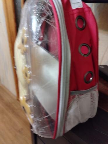 Pişik Ücun çanta - Dizayn: Şəffaf ön panel və sevimli ayıcık fiquru - şəkil 4